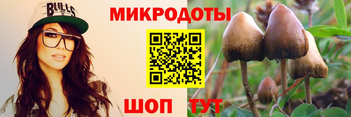 Псилоцибиновые грибы Psilocybe  Вход с VPN  Кузнецк 